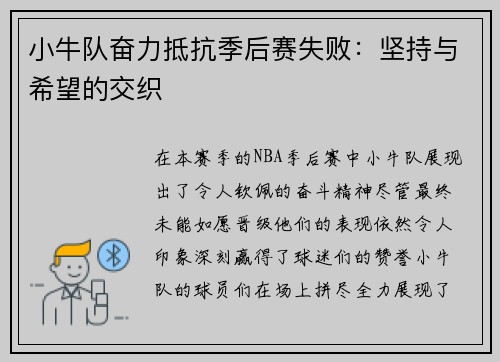 小牛队奋力抵抗季后赛失败：坚持与希望的交织