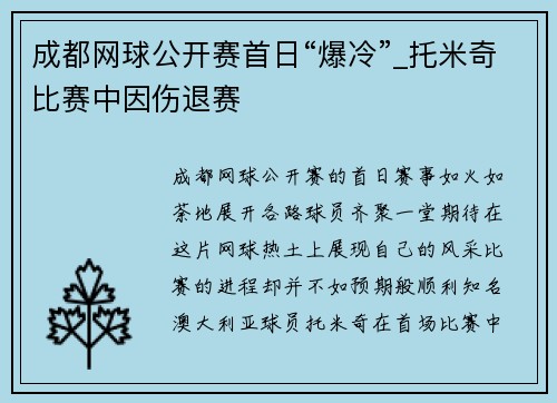 成都网球公开赛首日“爆冷”_托米奇比赛中因伤退赛
