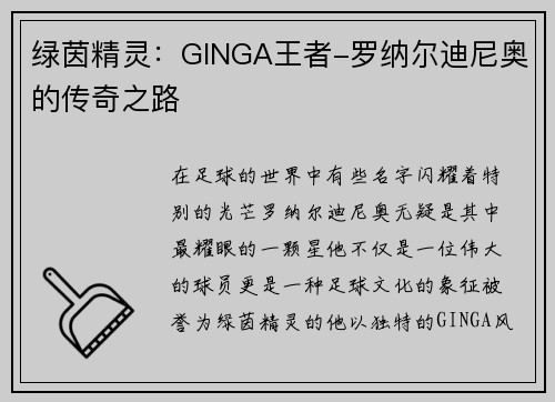 绿茵精灵：GINGA王者-罗纳尔迪尼奥的传奇之路