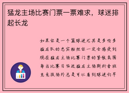 猛龙主场比赛门票一票难求，球迷排起长龙