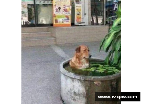 狗万别的国家的孩子是怎么上体育课的？看到新加坡我震惊了……