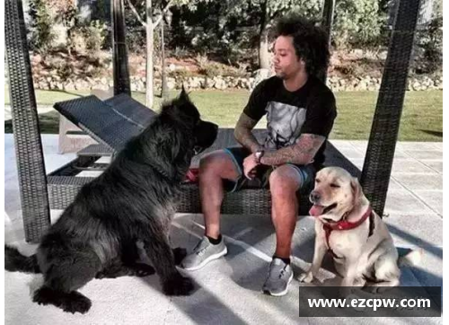 狗万足球男女球星齐聚一堂精彩瞬间尽在这幅动人画卷中