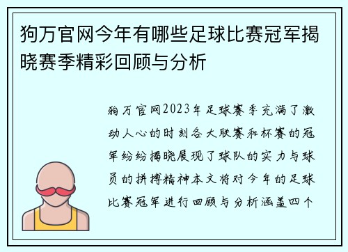 狗万官网今年有哪些足球比赛冠军揭晓赛季精彩回顾与分析