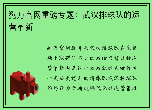 狗万官网重磅专题：武汉排球队的运营革新