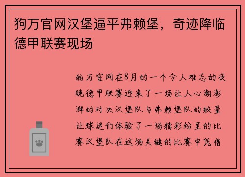 狗万官网汉堡逼平弗赖堡，奇迹降临德甲联赛现场