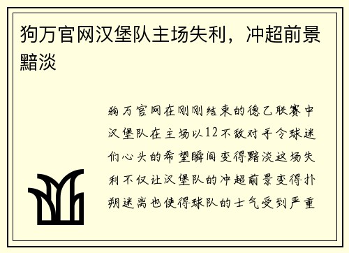狗万官网汉堡队主场失利，冲超前景黯淡