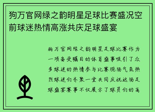 狗万官网绿之韵明星足球比赛盛况空前球迷热情高涨共庆足球盛宴