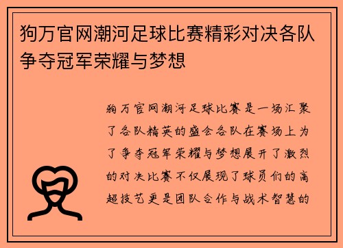狗万官网潮河足球比赛精彩对决各队争夺冠军荣耀与梦想
